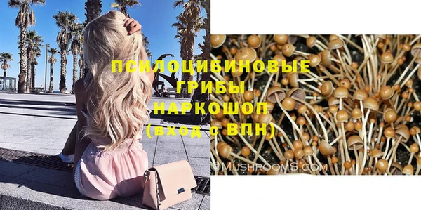 хмурый Алексеевка