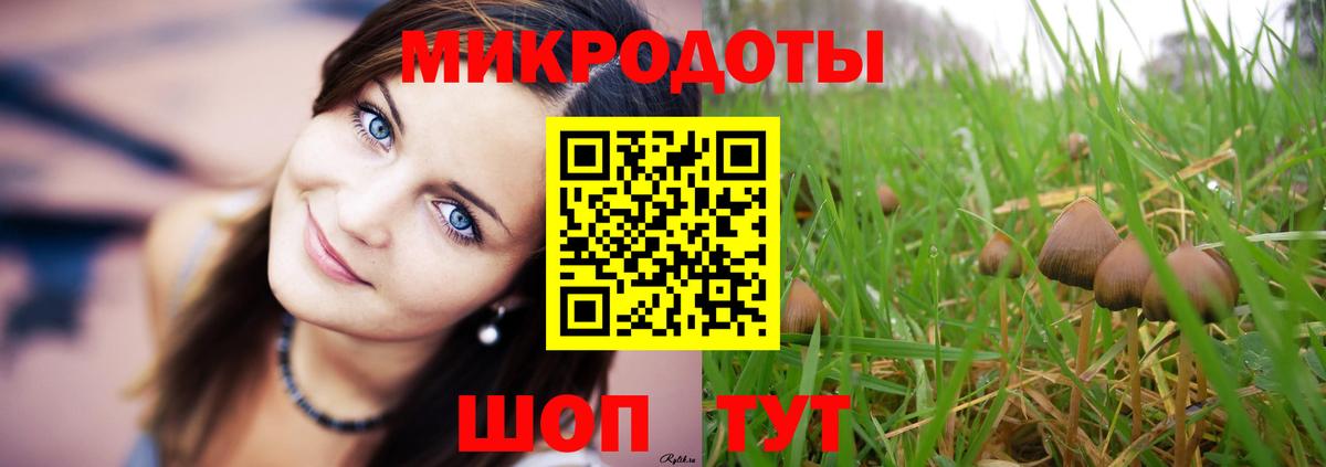 Галлюциногенные грибы Psilocybe  Галлюциногенные грибы ЛСД  Вход с VPN  Феодосия 